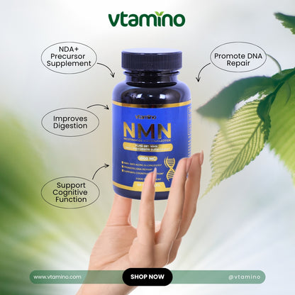 مكمل غذائي من فيتامينو NMN نقي بنسبة 98% لعكس الشيخوخة وتجديد الخلايا - معزز طبيعي لـ NAD+ (كمية تكفي لمدة شهر واحد)
