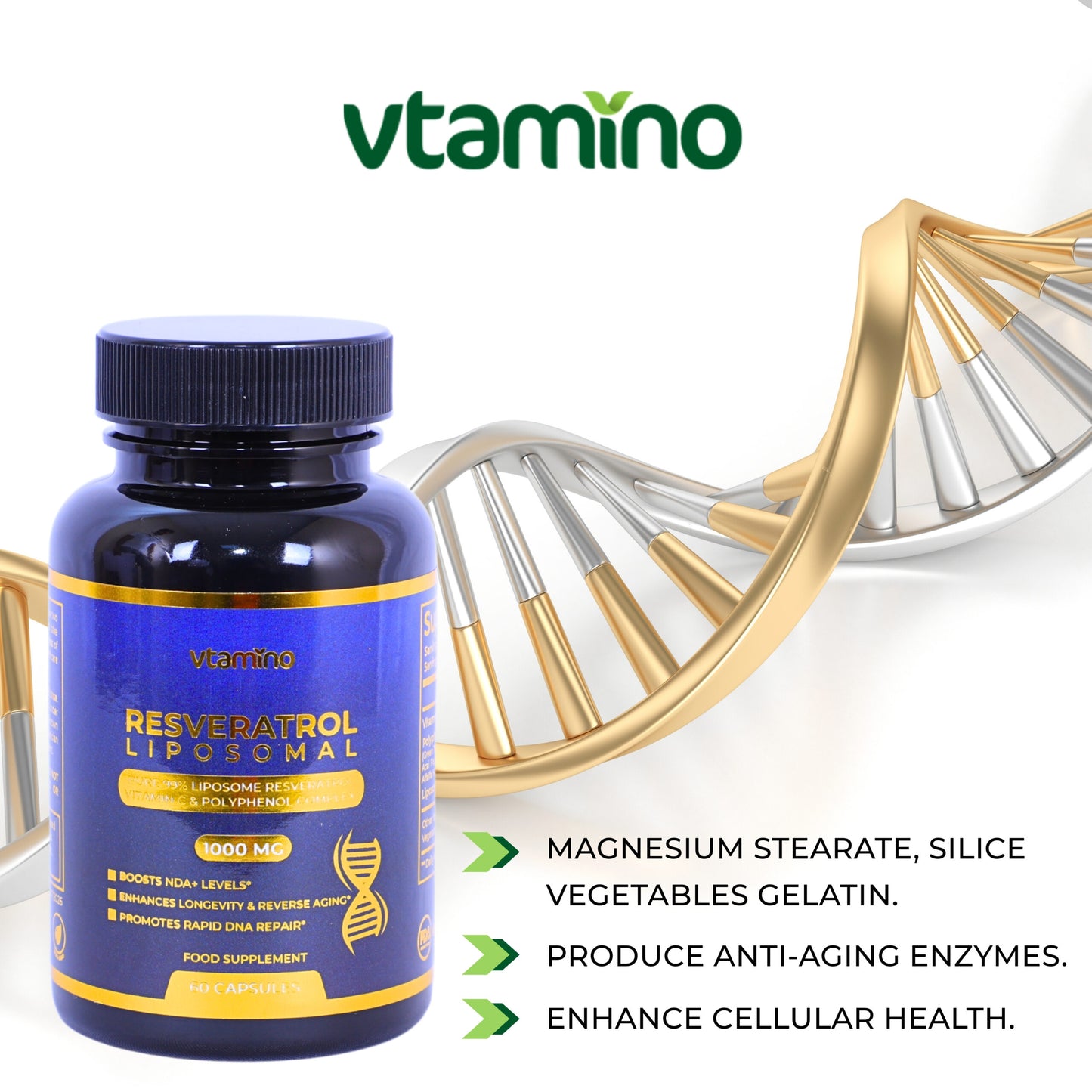 فيتامينو ريسفيراترول ليبوسوم نقي 99% مع فيتامين سي ومركب البوليفينول - يعزز مستويات NAD+ لعكس الشيخوخة وإطالة العمر (كمية تكفي شهرًا واحدًا)