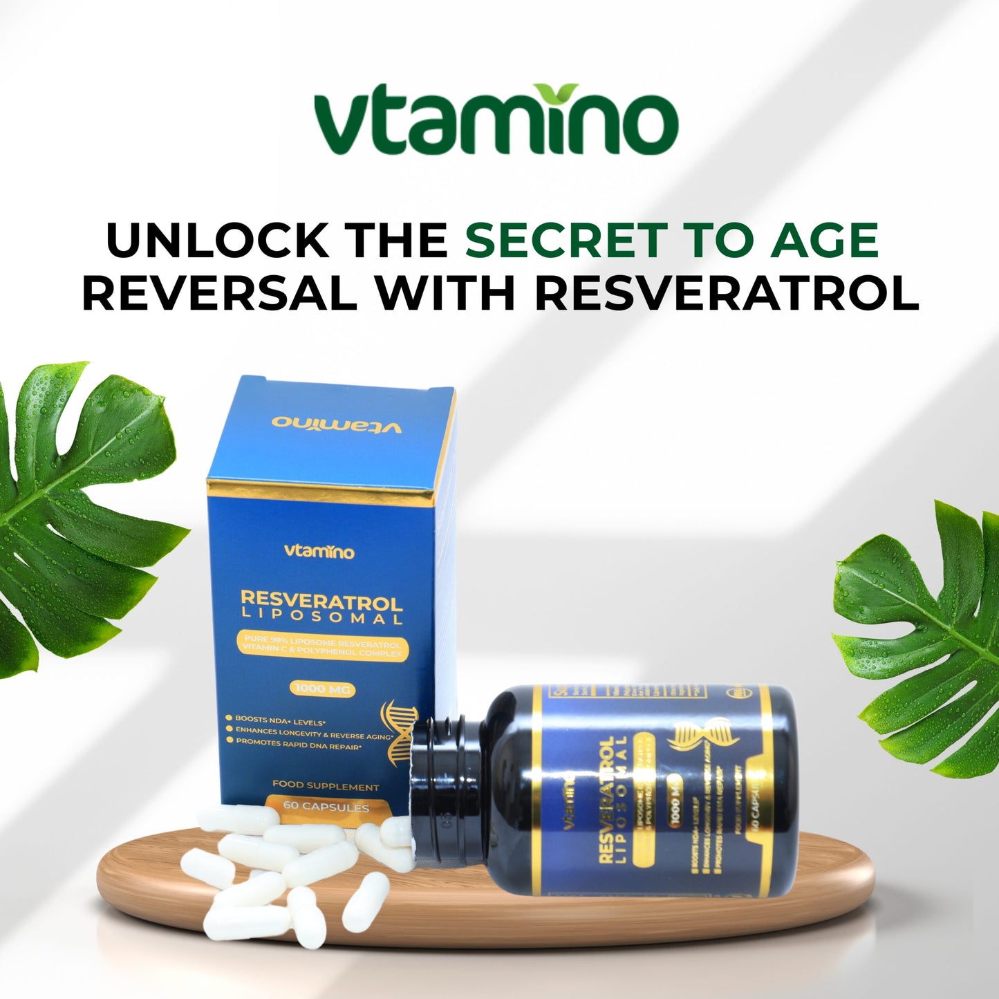 فيتامينو ريسفيراترول ليبوسوم نقي 99% مع فيتامين سي ومركب البوليفينول - يعزز مستويات NAD+ لعكس الشيخوخة وإطالة العمر (كمية تكفي شهرًا واحدًا)